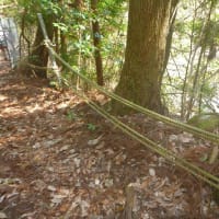 安佐町久地　岳山周回登山（２）　周回詳細　