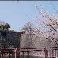 ブログ始めました＾＾