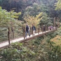 高尾山に紅葉を見に！　2014・11・17