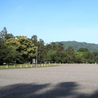 京都御所５月sketch