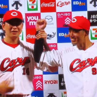 田んぼの畔に咲くタンポポのお花に紋白蝶