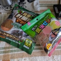 今週は忘備録になってしまう？