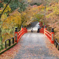 京都紅葉巡り：今熊野観音寺（１１月３０日）！