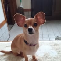 2016年８月  