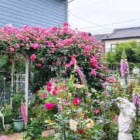 風もない曇天の朝。