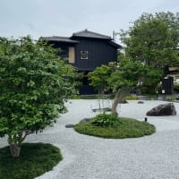 jin cafeさんの花手水