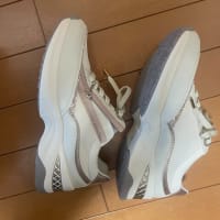 妻のスニーカーを買う。