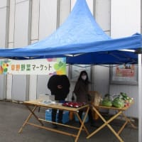 川崎市アートセンターで早野野菜マーケットを開催！