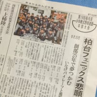 第19回稲毛区少年野球連盟卒部大会優勝！