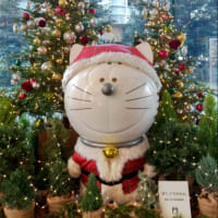 今日いち-2024年12月22日