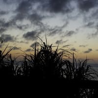 恩納村熱田の落日。「異物」は飛ばなかった（20250610-②）