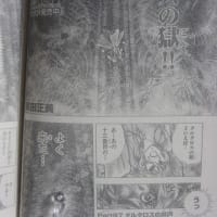 聖闘士星矢 Next Dimension 冥王神話 96 コキュートスの記憶 聖闘士星矢 Next Dimension 冥王神話 96 コキュートスの記憶