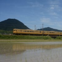 山陽本線115系N編成　ほのかに映る列車　2024-05-19
