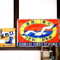 うきわかもめ