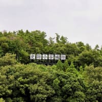 湖北（３６）小谷城跡