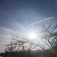 花開く可能性