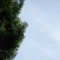 旧暦５月１１日の月