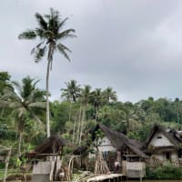 ジャワ島 kampung Naga 