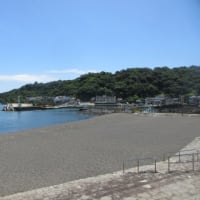 川奈のいるか浜は夏を待ち焦がれていました