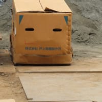 笑う段ボール　Un sourire.