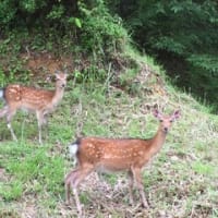 あっという間のお盆休み☆