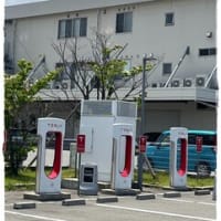 北陸旅行3日目行きたかった豆の形の本屋さん