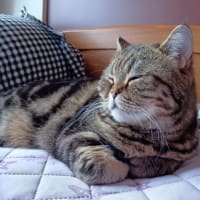 2025/06/06に思うこと