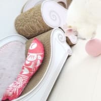 5月♪