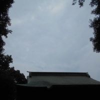 2025年7月7日…七夕に小暑…（;´▽｀A``　危険な暑さだぁ～