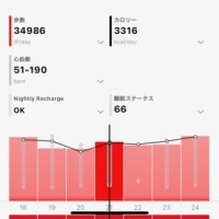 週刊おじさんの生態 2025年5月18日～5月24日