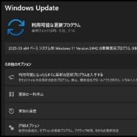 昨日の朝食後にメールを確認すると、12日にIPAから「Microsoft製品の脆弱性対策等に付いてのセキュリティ緊急対策情報」が届いていましたので・・・
