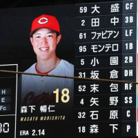 6/13ファィタ－ズ対カープ