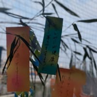 ラッキーセブンの七夕です