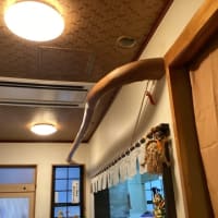 昔馴染みの居酒屋実は