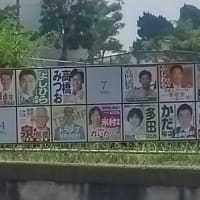 参議院選挙2025兵庫県