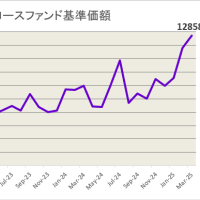2025年3月グロース投資成績：トランプ関税で市場が混乱するなかグロースは好調持続