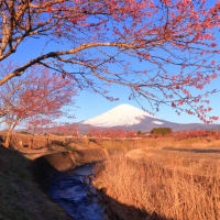 富士山　「天気晴朗なれど...   」風なき... 技のなさが...  "(-""-)"