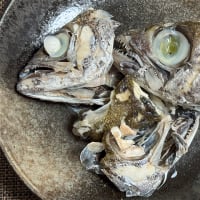黒ムツ　釣り