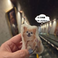 映画（フロントライン）観てきました
