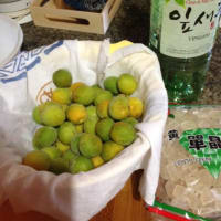 多国籍産梅酒の巻き