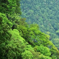 延岡ふるさと里山のチカラ再発見写真館NO 3496