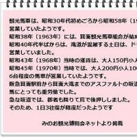 １１月の紅葉
