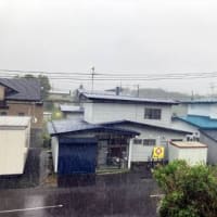 昨日午後は今年2回目の雷雨