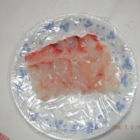 　久し振りの草刈りタップリ　収獲5種類カボチャ他　マダイと野菜料理