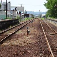 天竜浜名湖鉄道・原谷駅　エバンゲリオンⅠ　