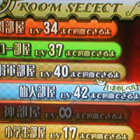 家庭用ポプ１３　カーニバル。