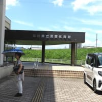 ジュニア体操選手権♪♪