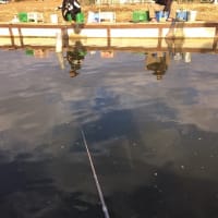 真冬の釣り