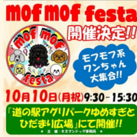mof mof festa（2022年10月10日（月祝））道の駅アグリパークゆめすぎと ひだまり広場