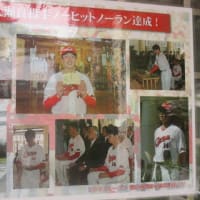広島護国神社さんにカープ大瀬良大地投手のノーヒットノーラン記念のパネルが掲示されていました・・・がんばれ！カープ